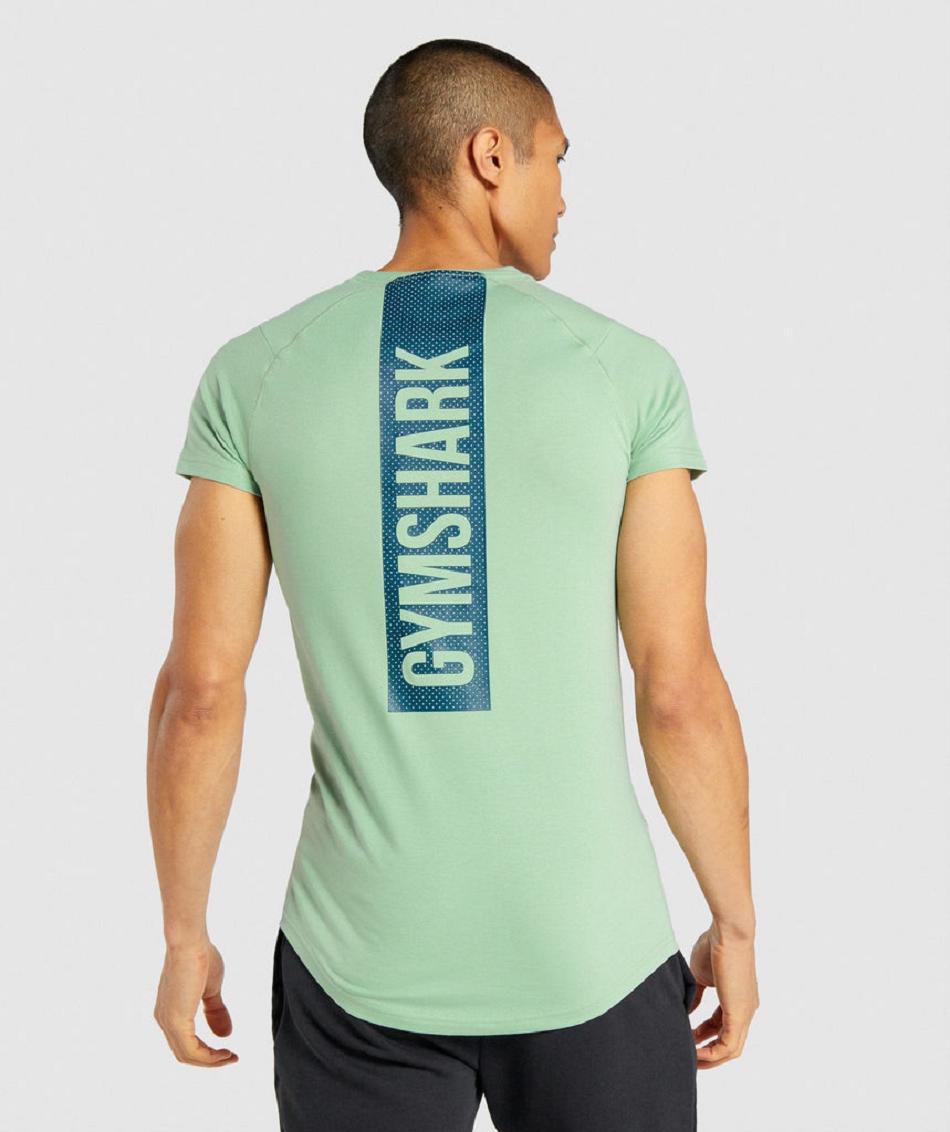 Gymshark Bold Muške T Shirts Zelene | HR 2457WNB